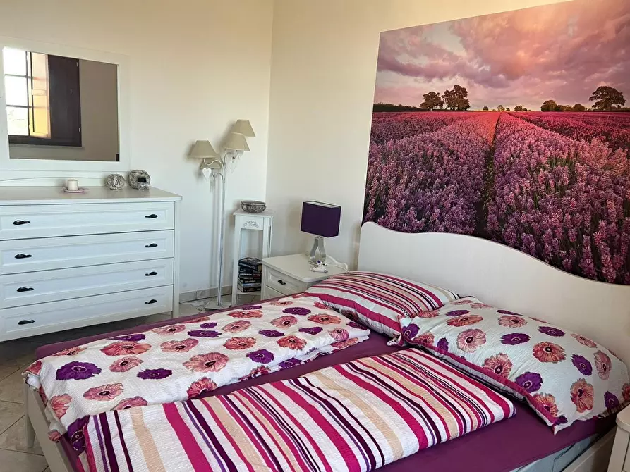 Immagine 12 di Appartamento in vendita  a Scarlino