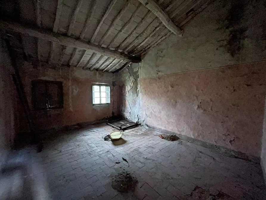 Immagine 12 di Terratetto in vendita  a Capannori