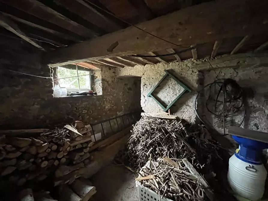 Immagine 16 di Terratetto in vendita  a Capannori