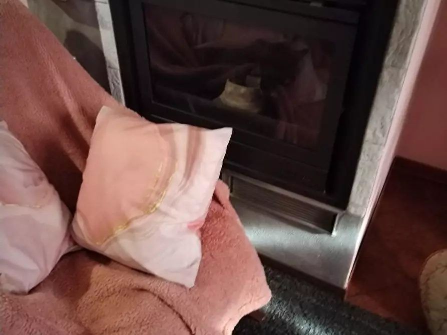 Immagine 14 di Casa bifamiliare in vendita  a Massa