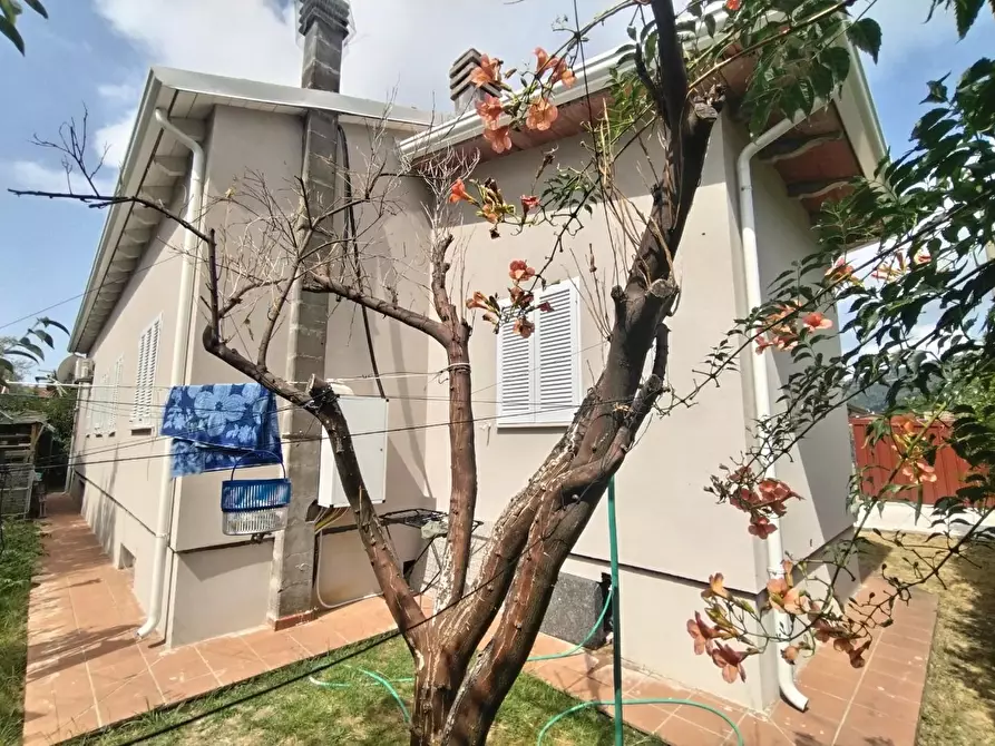 Immagine 4 di Casa bifamiliare in vendita  a Massa
