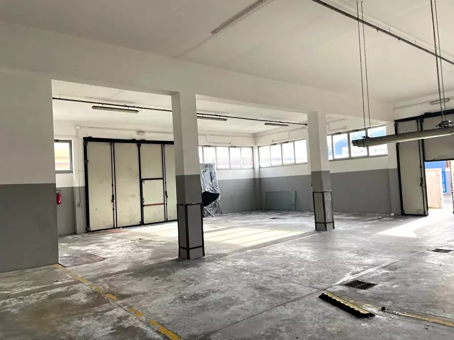 Immagine 1 di Attività artigianale in affitto  a Santa Croce Sull'arno