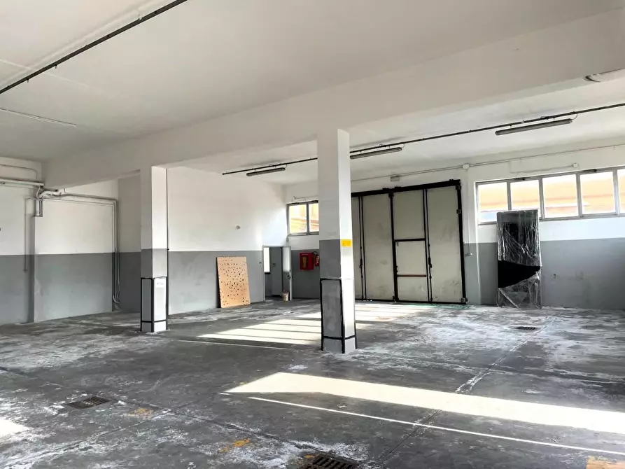 Immagine 2 di Attività artigianale in affitto  a Santa Croce Sull'arno