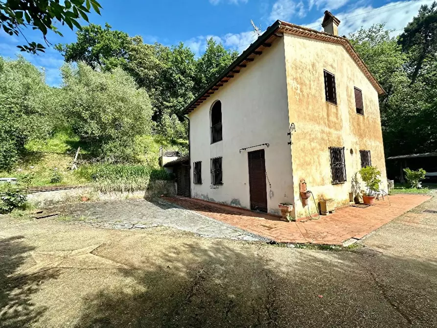 Immagine 6 di Rustico / casale in vendita  a Capannori