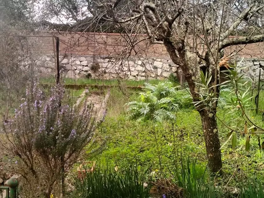 Immagine 5 di Appartamento in vendita  a Siena