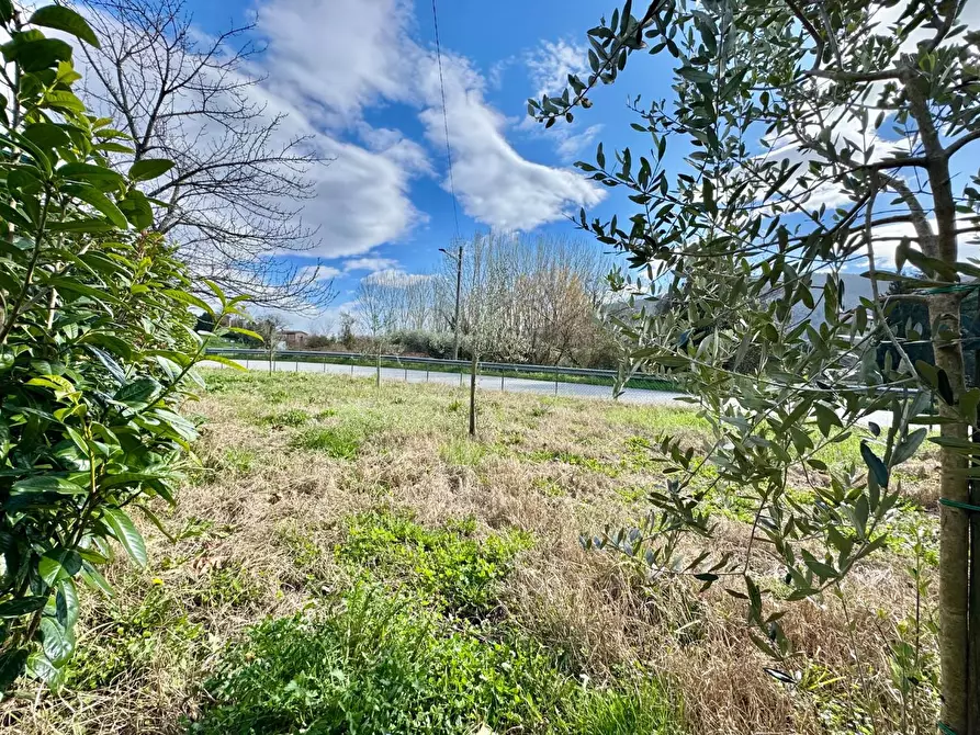 Immagine 26 di Villetta a schiera in vendita  a Lucca