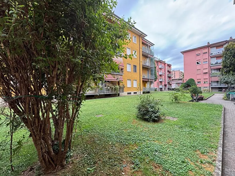 Immagine 4 di Appartamento in vendita  a Settimo Milanese