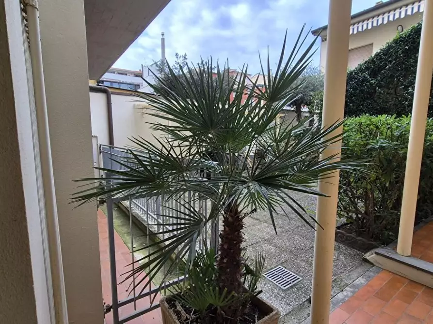 Immagine 40 di Appartamento in affitto  a Viareggio