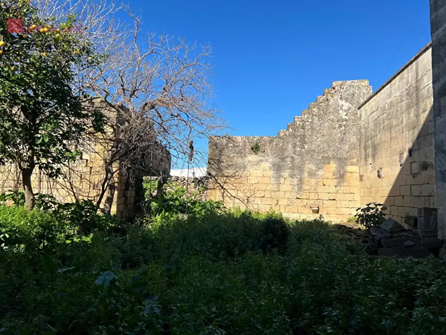 Immagine 27 di Palazzo in vendita  a San Donato Di Lecce