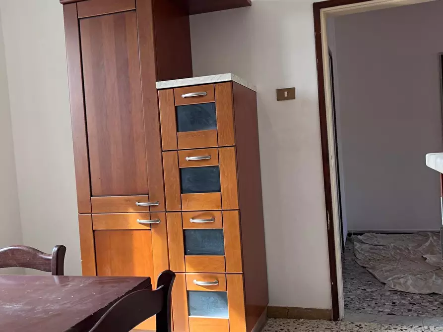 Immagine 15 di Appartamento in affitto  a Vecchiano