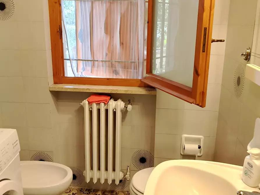 Immagine 34 di Appartamento in affitto  a Rosignano Marittimo