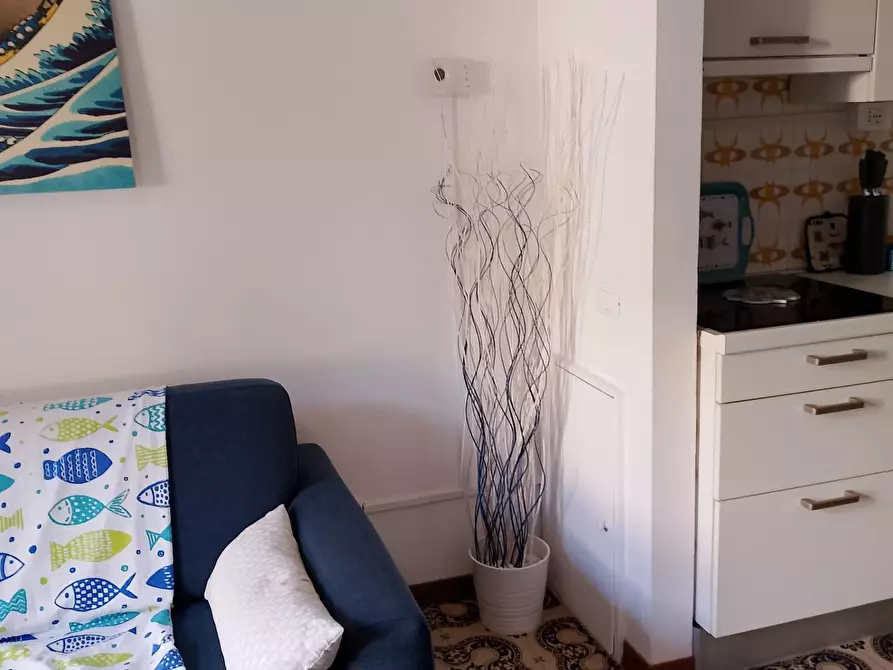 Immagine 11 di Appartamento in affitto  a Rosignano Marittimo