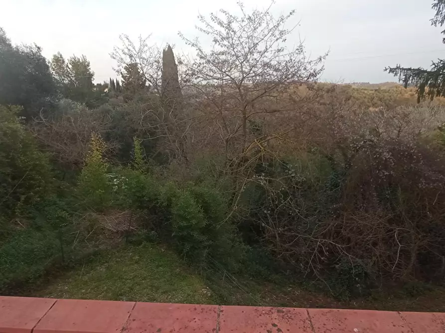 Immagine 30 di Appartamento in vendita  a Montopoli In Val D'arno