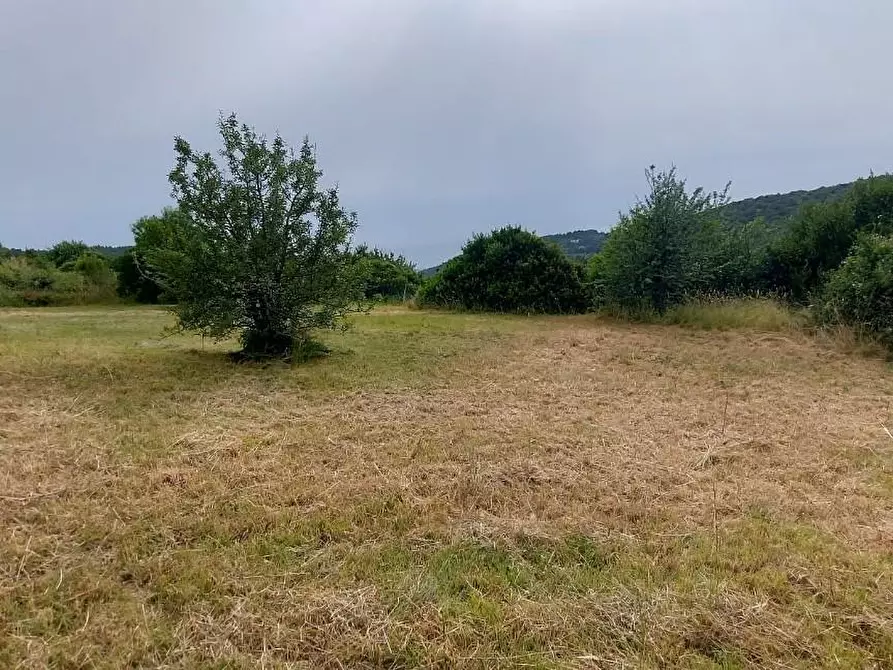 Immagine 5 di Appartamento in vendita  a Livorno