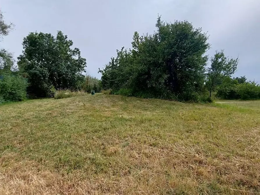 Immagine 1 di Appartamento in vendita  a Livorno