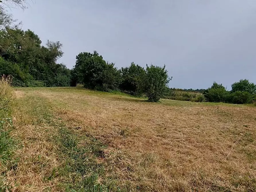 Immagine 18 di Appartamento in vendita  a Livorno