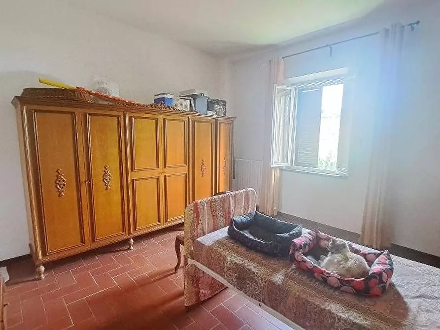 Immagine 13 di Casa colonica in vendita  a Pontedera