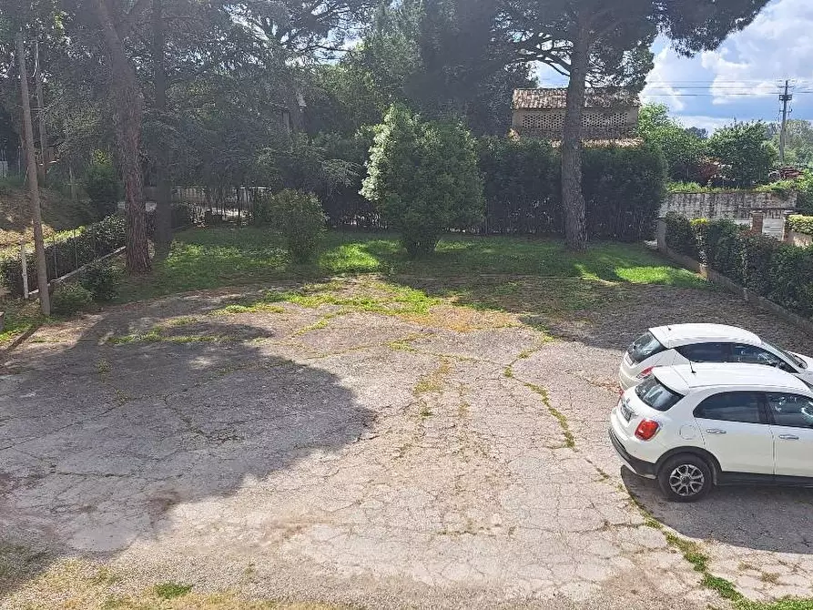 Immagine 7 di Casa colonica in vendita  a Pontedera