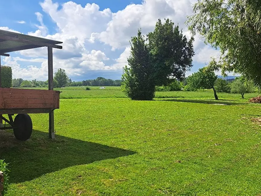 Immagine 54 di Casa colonica in vendita  a Pontedera