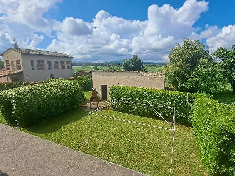 Immagine 5 di Casa colonica in vendita  a Pontedera