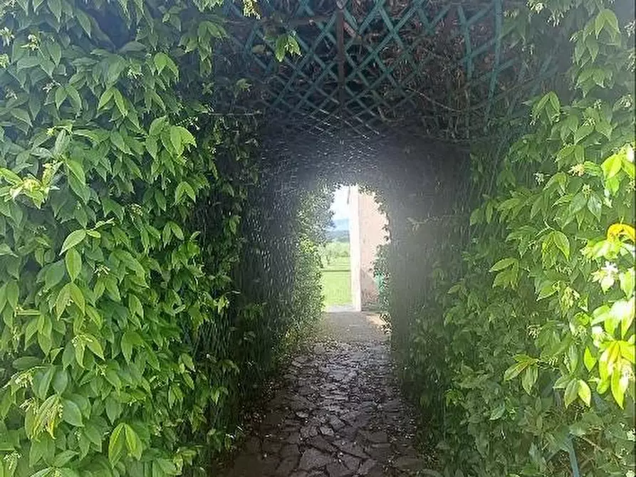 Immagine 52 di Casa colonica in vendita  a Pontedera