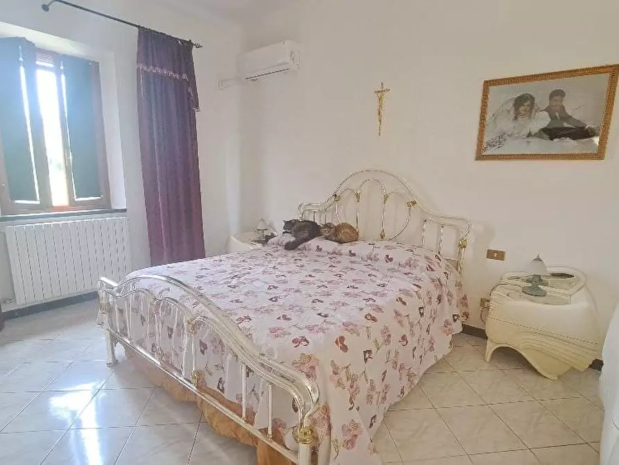 Immagine 25 di Casa colonica in vendita  a Pontedera