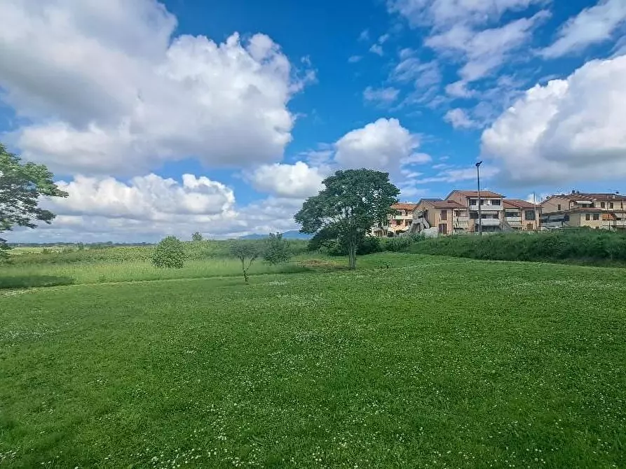 Immagine 50 di Casa colonica in vendita  a Pontedera