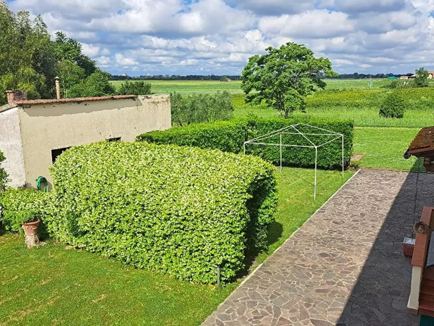 Immagine 2 di Casa colonica in vendita  a Pontedera