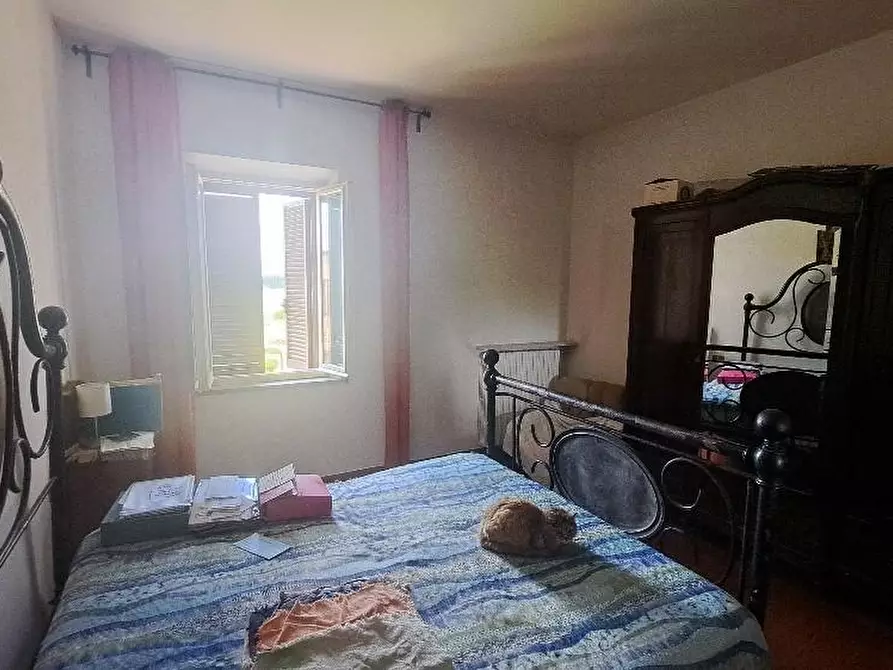 Immagine 13 di Casa colonica in vendita  a Pontedera