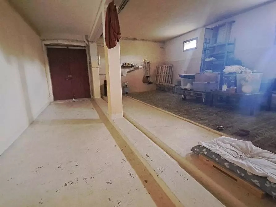 Immagine 40 di Casa colonica in vendita  a Pontedera