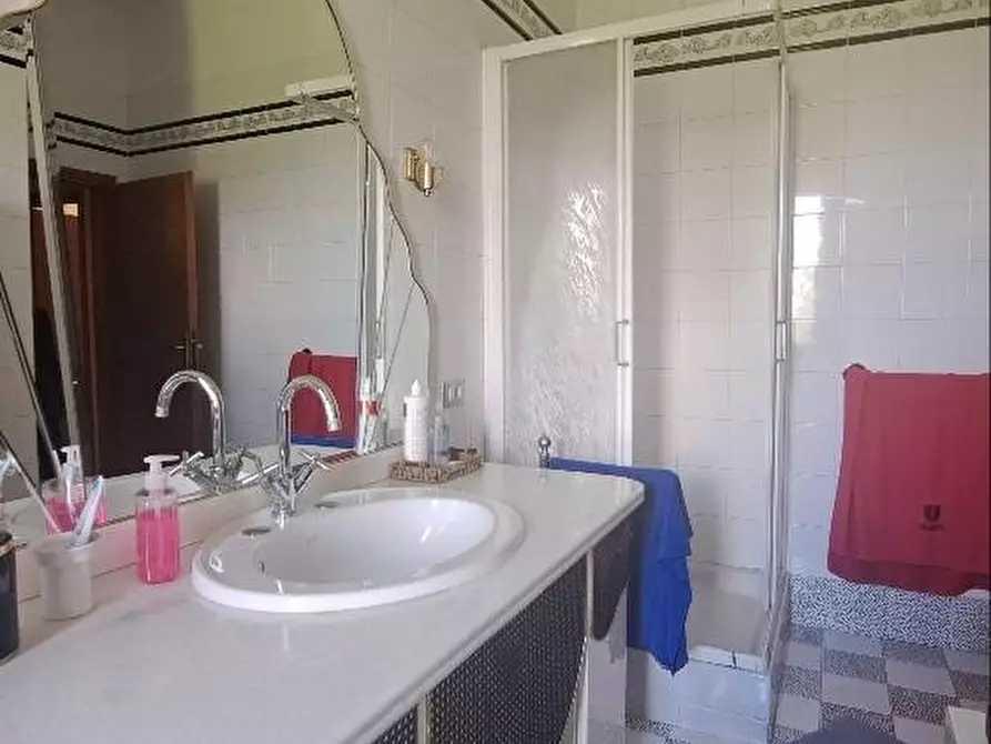 Immagine 24 di Casa colonica in vendita  a Pontedera