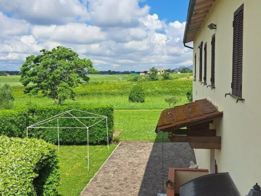 Immagine 6 di Casa colonica in vendita  a Pontedera