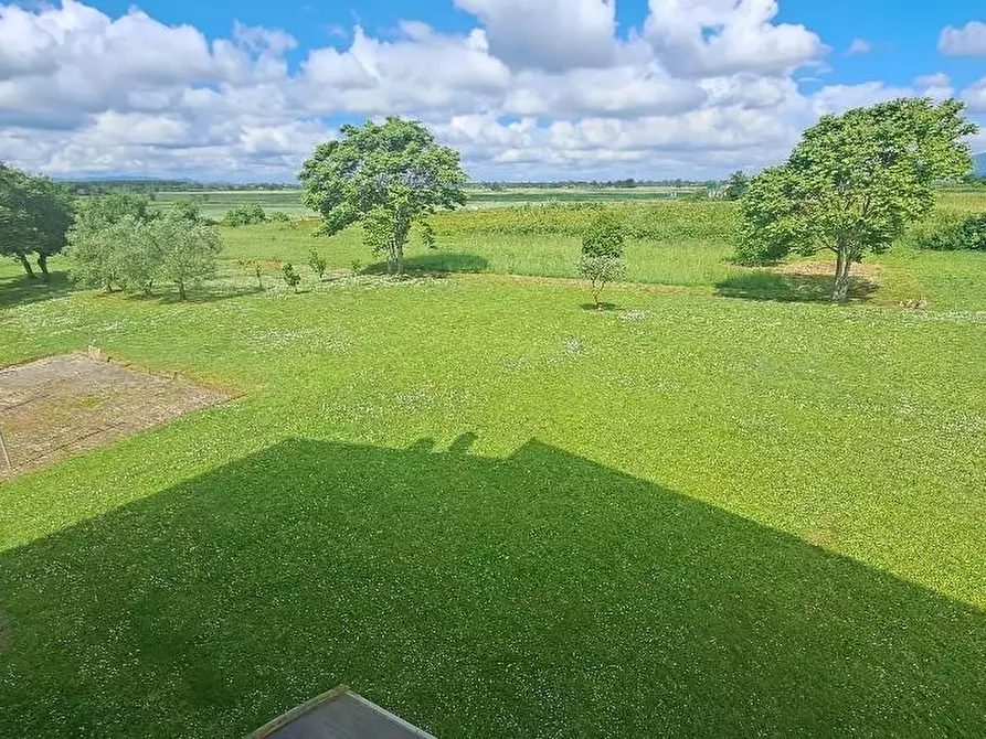 Immagine 3 di Casa colonica in vendita  a Pontedera