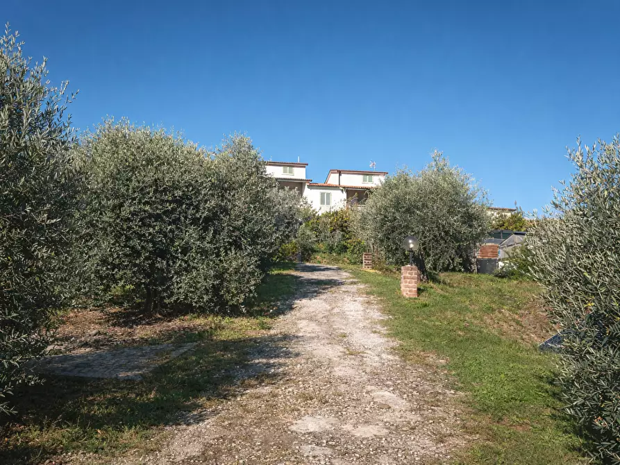 Immagine 34 di Casa bifamiliare in vendita  a Collesalvetti