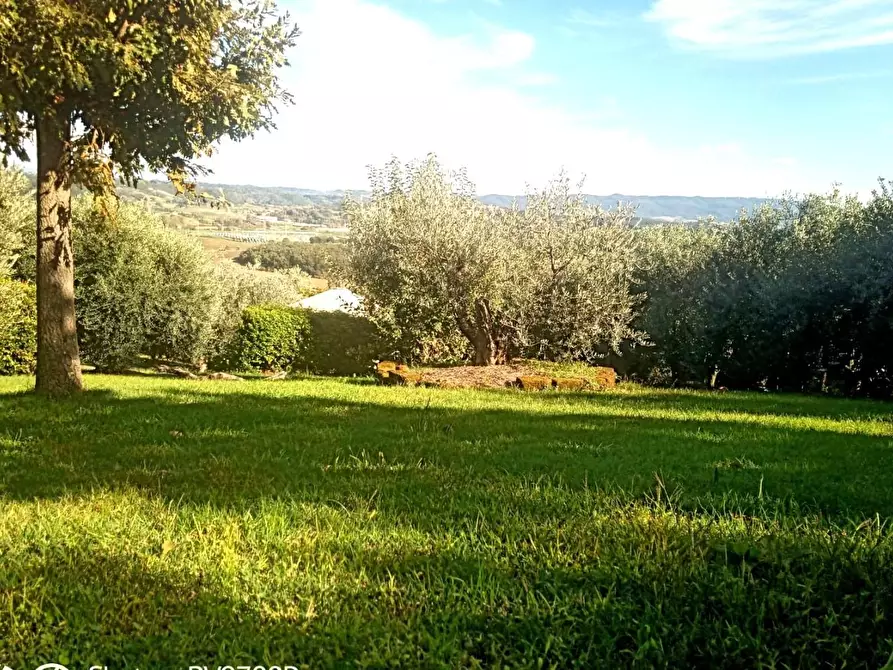 Immagine 35 di Casa bifamiliare in vendita  a Collesalvetti