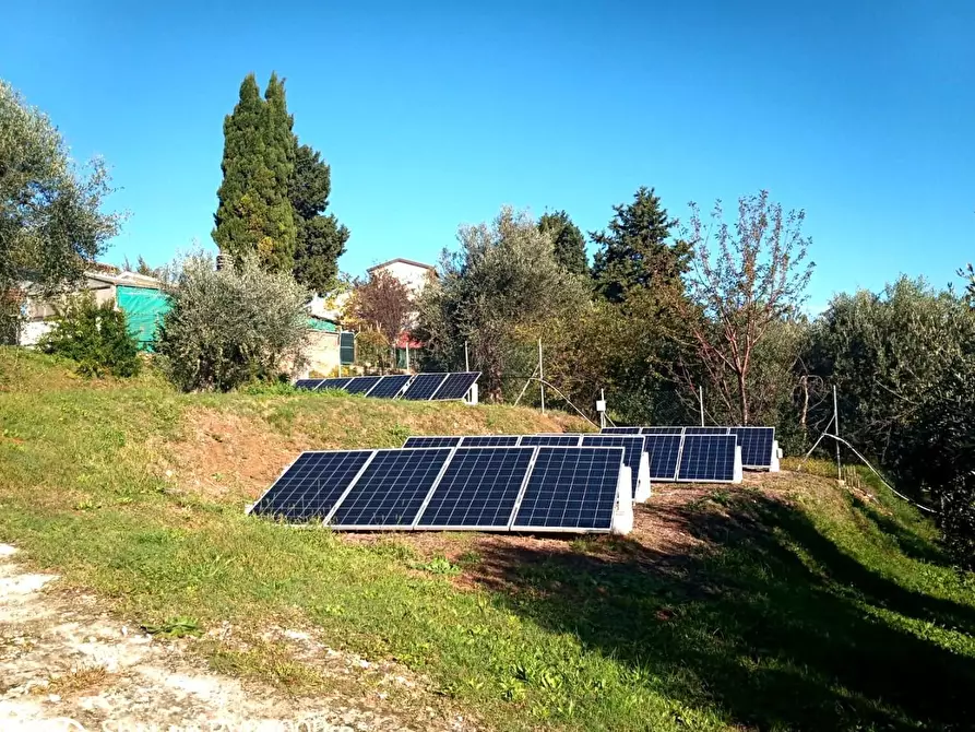 Immagine 36 di Casa bifamiliare in vendita  a Collesalvetti
