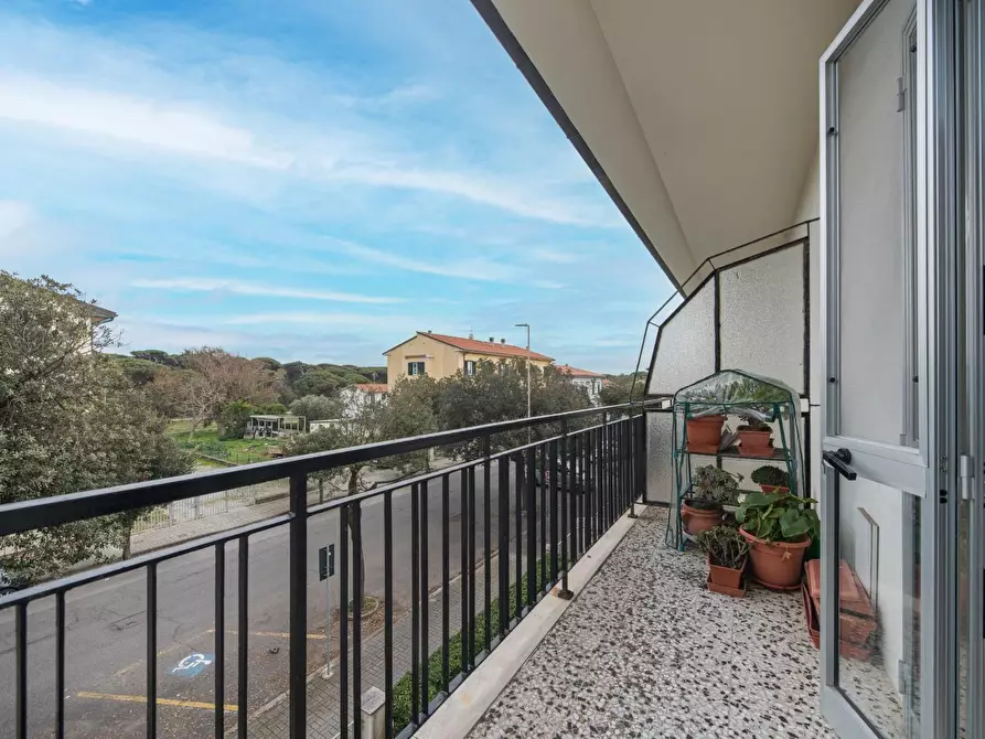 Immagine 24 di Appartamento in vendita  a Pisa