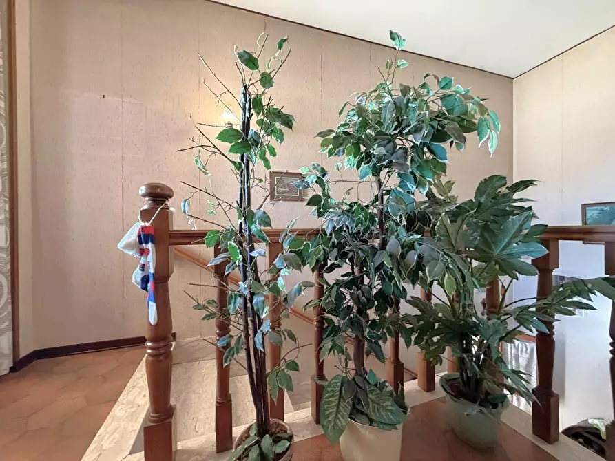 Immagine 6 di Appartamento in vendita  a Santa Croce Sull'arno