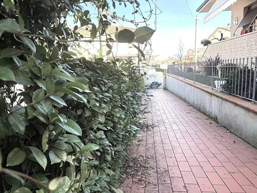 Immagine 33 di Appartamento in vendita  a Santa Croce Sull'arno