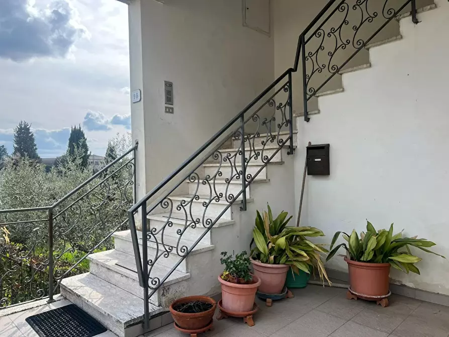 Immagine 3 di Appartamento in vendita  a Vinci