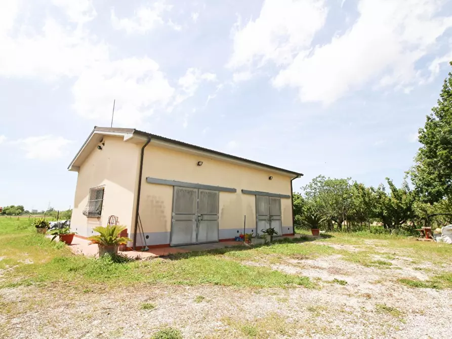 Immagine 2 di Terreno agricolo in vendita  a Cascina