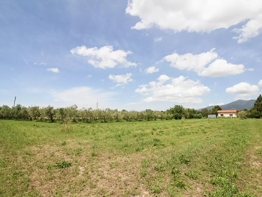 Immagine 13 di Terreno agricolo in vendita  a Cascina