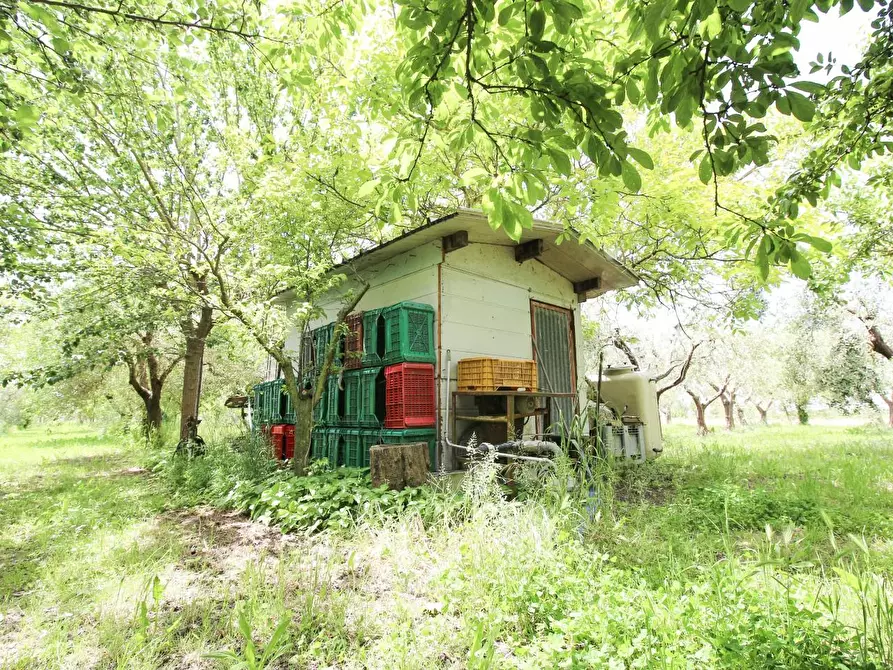 Immagine 12 di Terreno agricolo in vendita  a Cascina