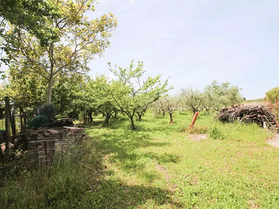 Immagine 8 di Terreno agricolo in vendita  a Cascina