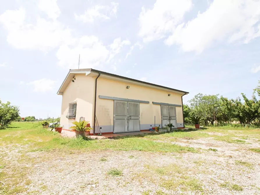 Immagine 1 di Terreno agricolo in vendita  a Cascina