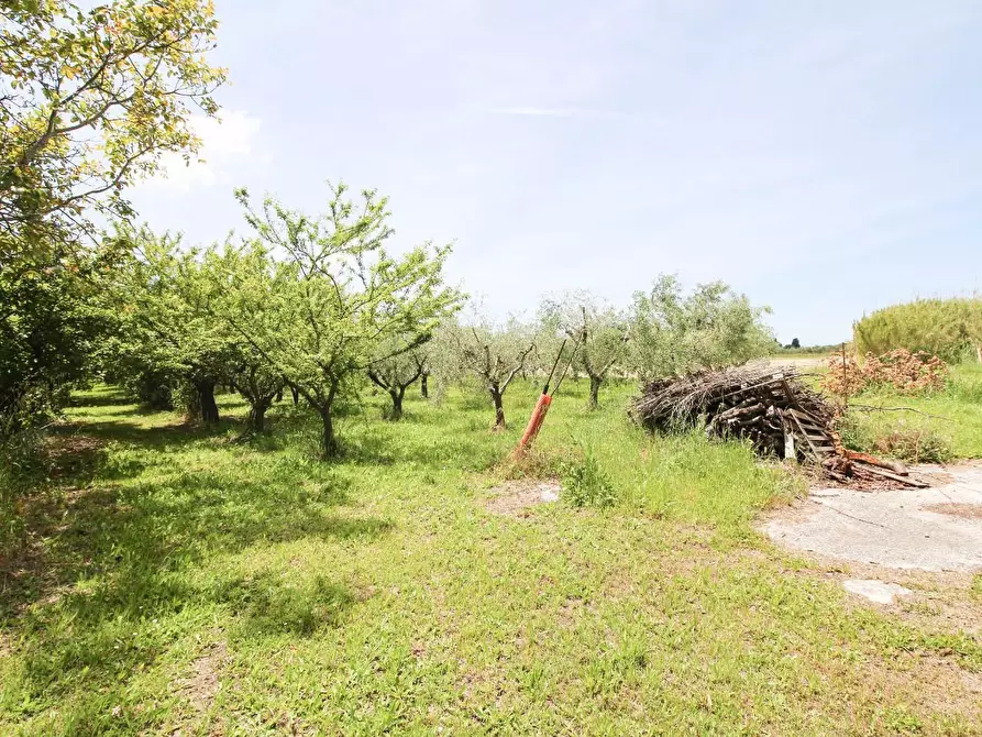 Immagine 9 di Terreno agricolo in vendita  a Cascina