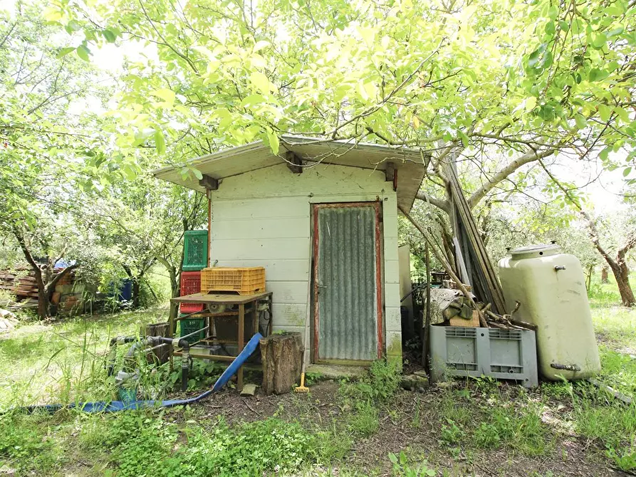 Immagine 11 di Terreno agricolo in vendita  a Cascina