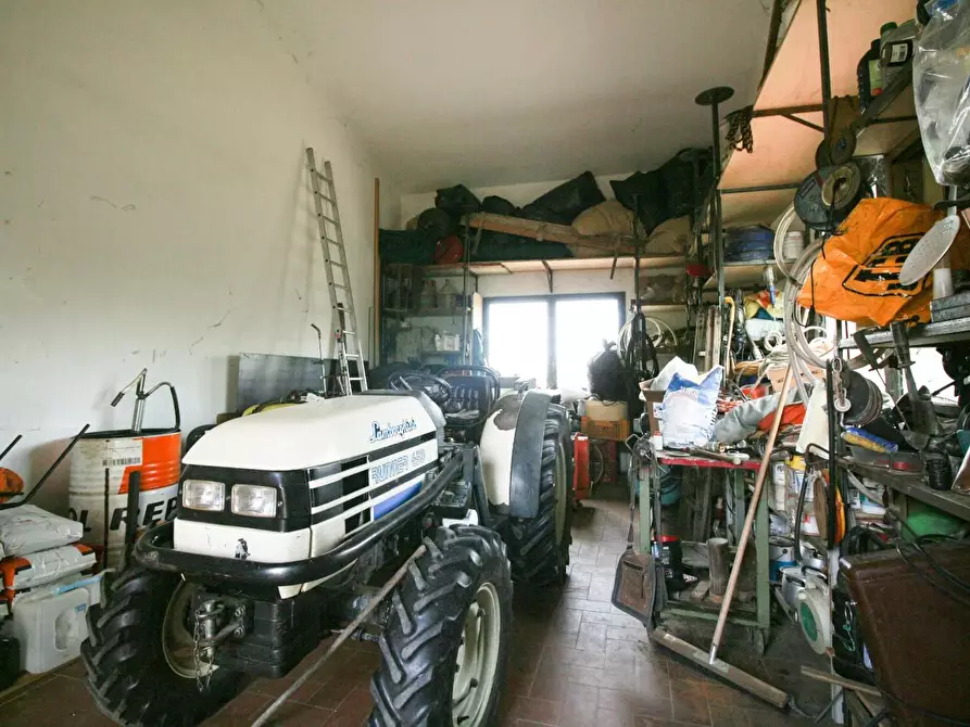 Immagine 7 di Terreno agricolo in vendita  a Cascina