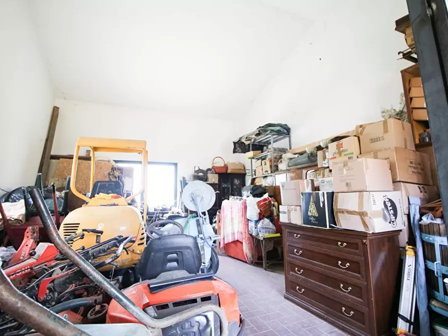 Immagine 3 di Terreno agricolo in vendita  a Cascina