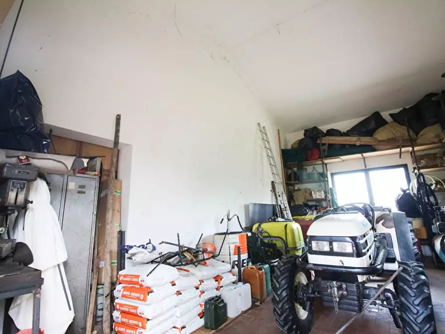 Immagine 5 di Terreno agricolo in vendita  a Cascina